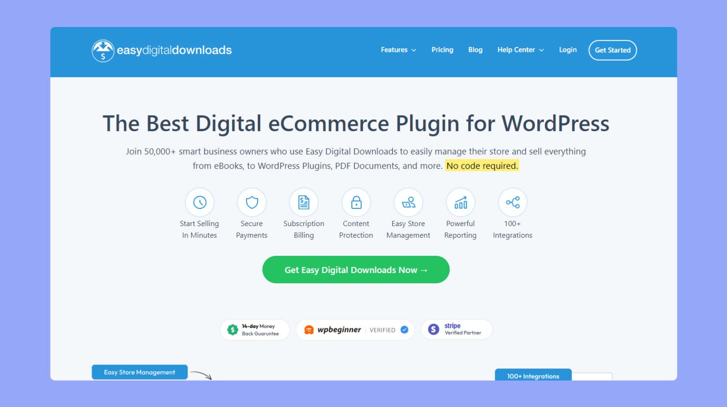 How to Make Money with WordPress | 10Web