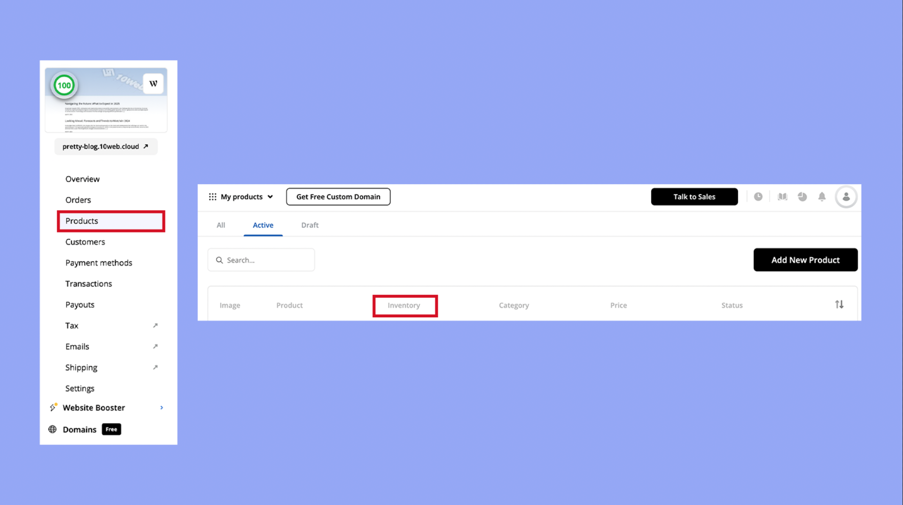 Managing inventory with 10Web hosting