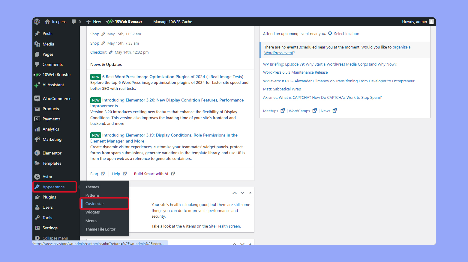 WordPress dashboard Appearance Customization