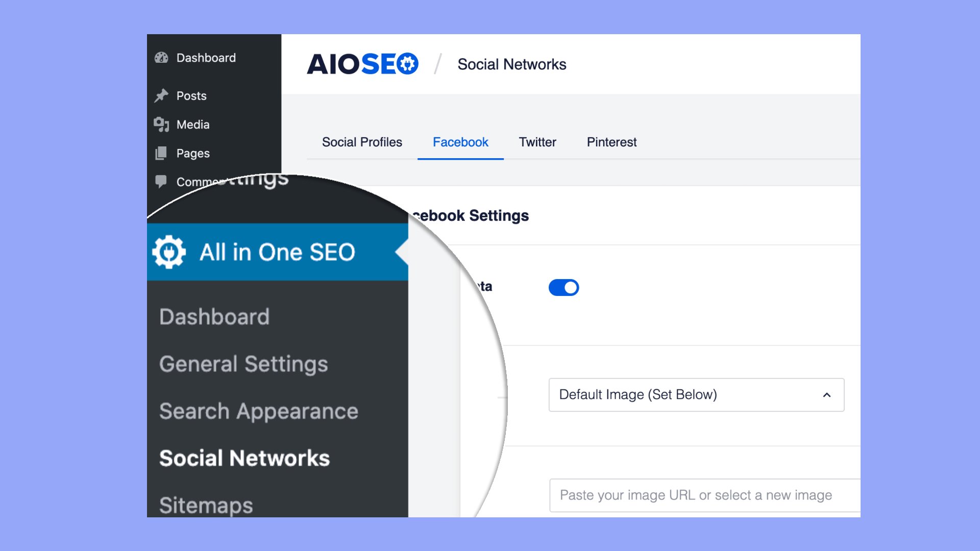 All in One SEO plugin for WordPress.