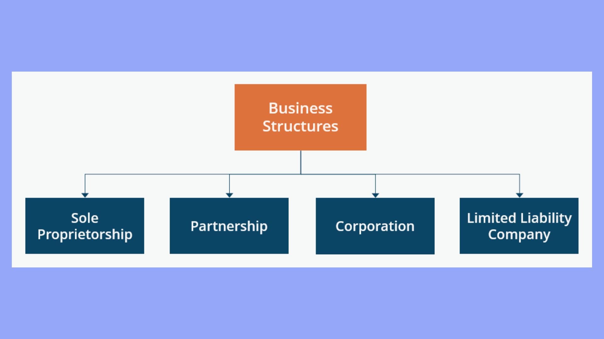 Business structure