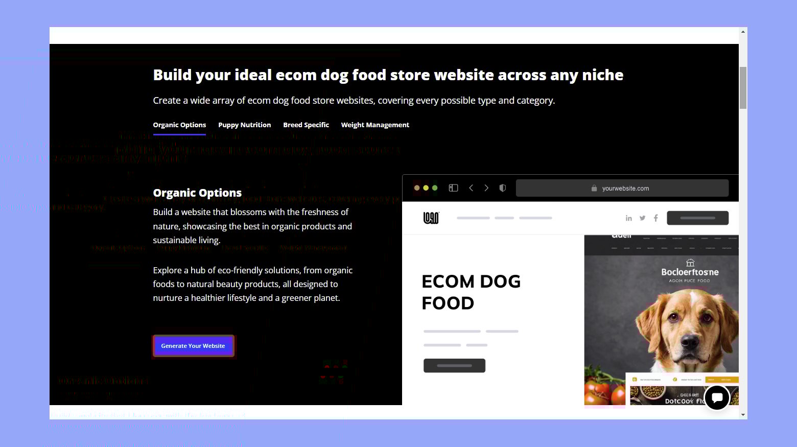 Generating your ecommerce website
