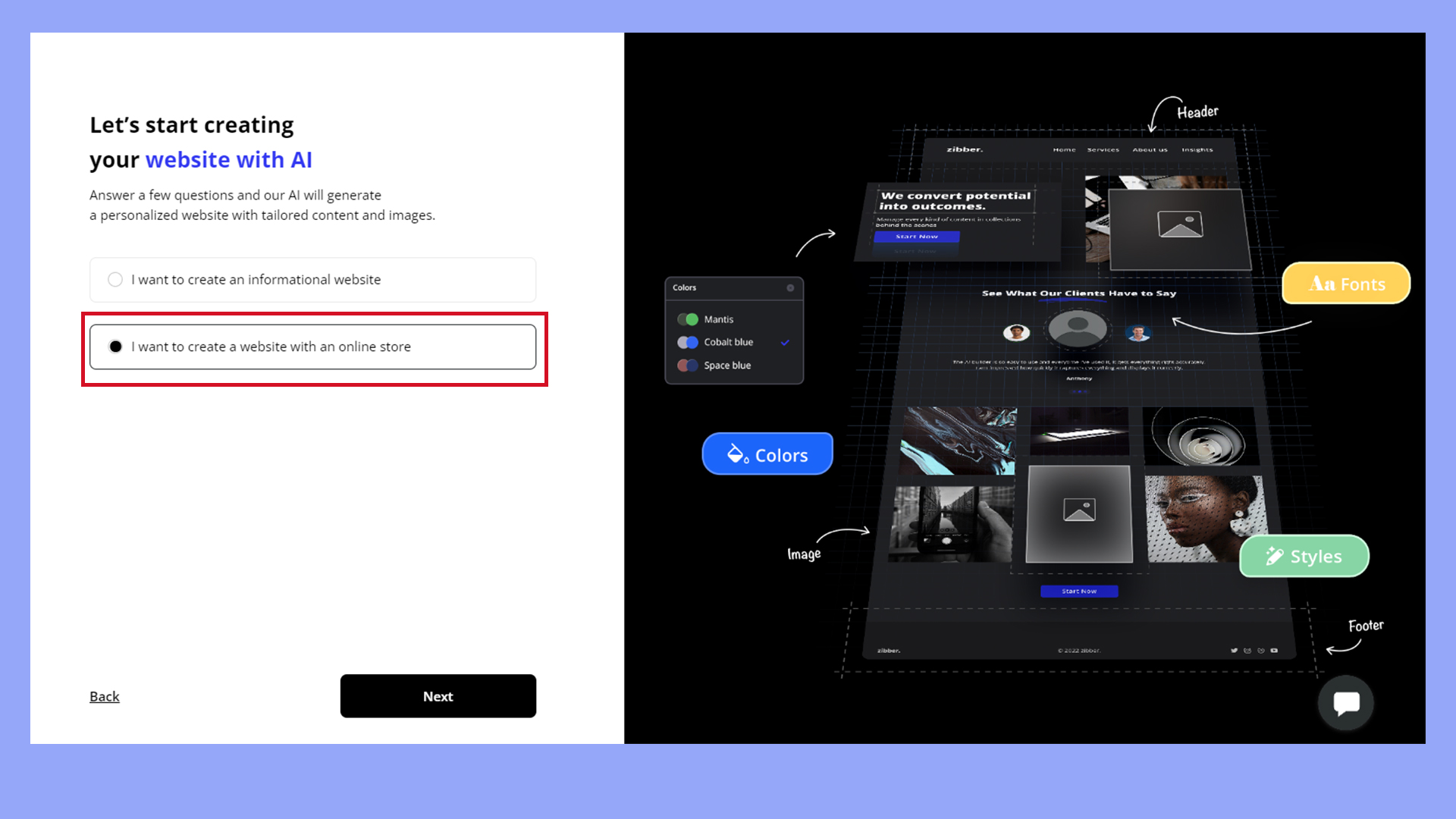 Choosing the option to generate an informational site or a site with ecommerce functionality.