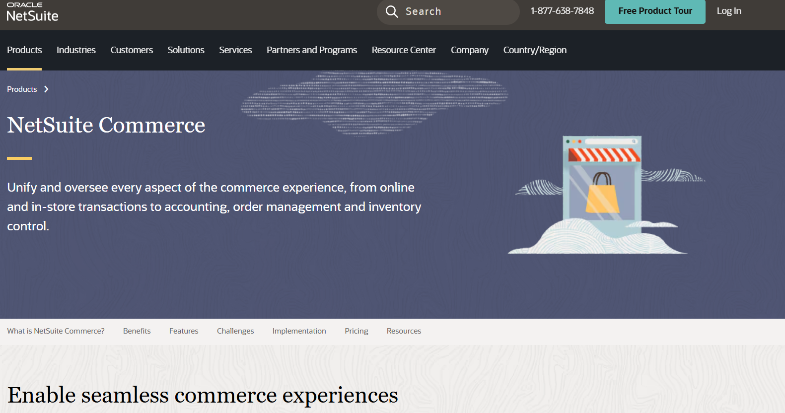 NetSuite Ecommerce