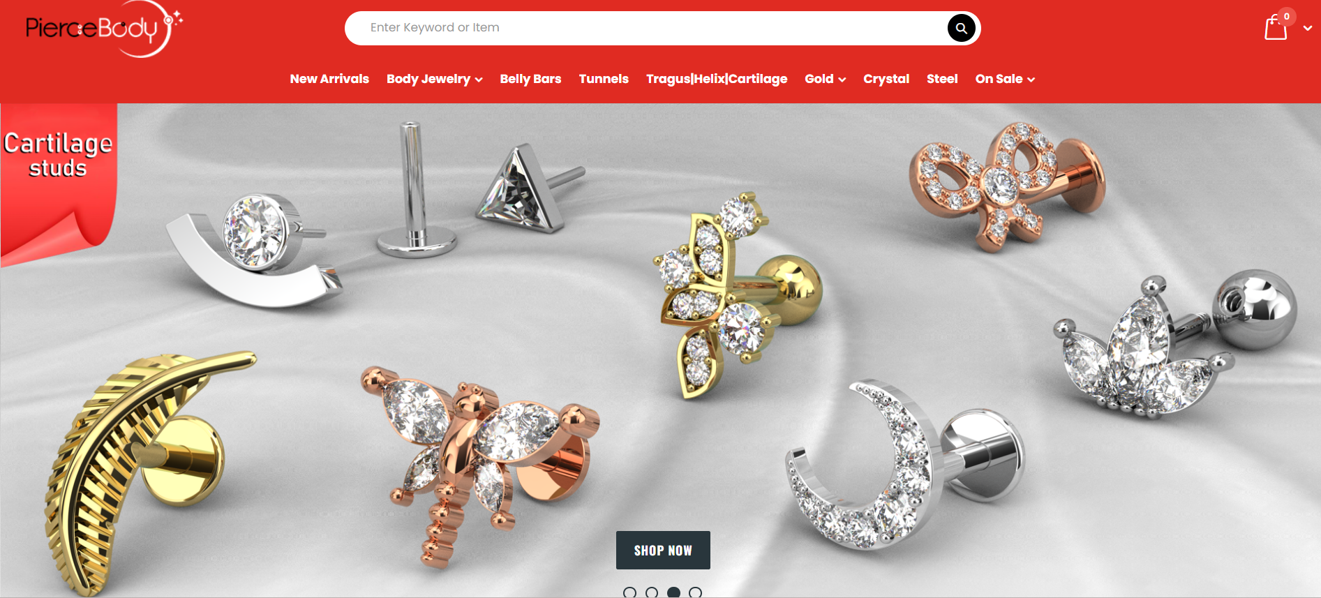Pierce Body website
