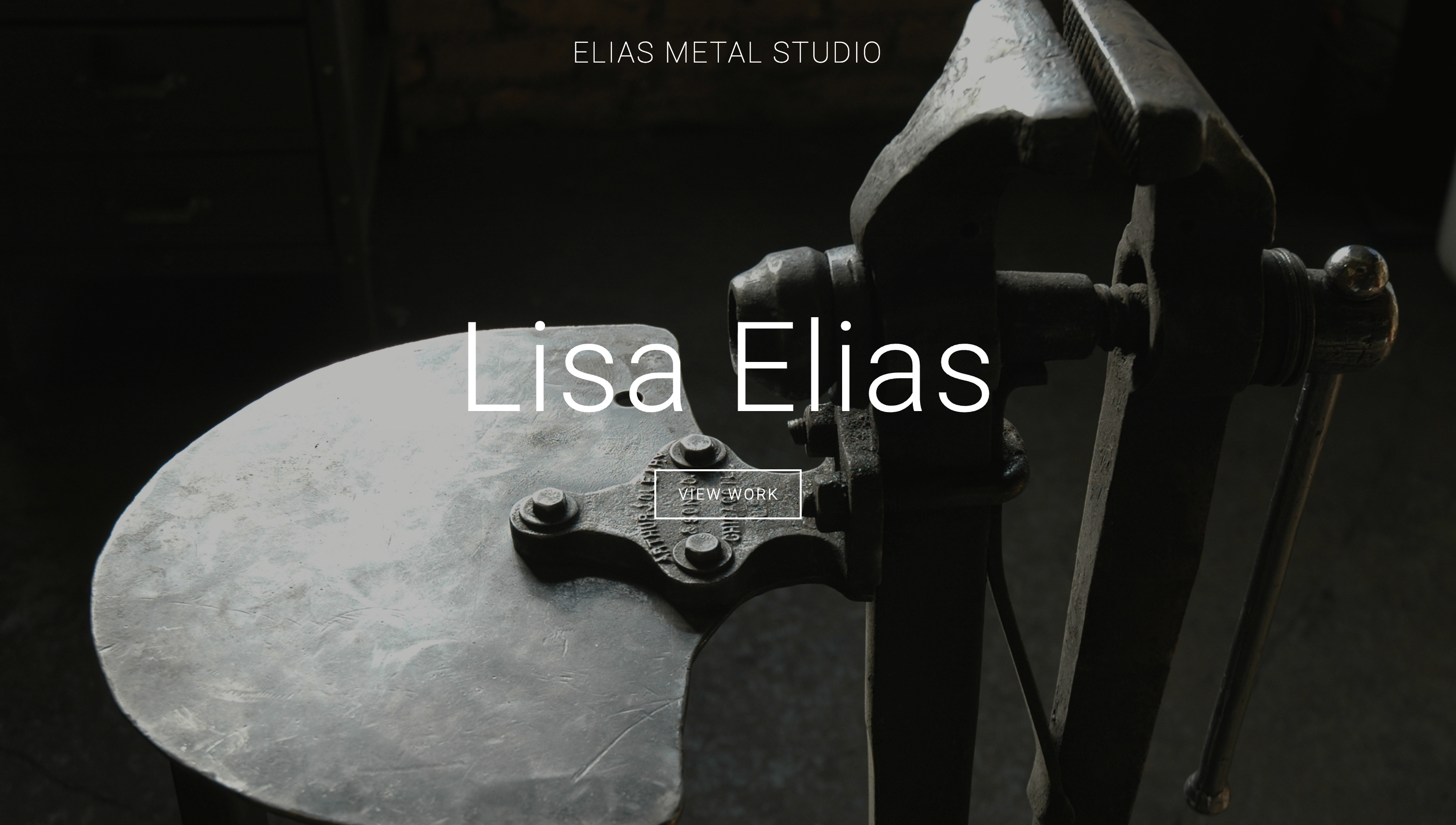 https://10web.io/blog/wp-content/uploads/sites/2/2025/03/21.-Lisa-Elias.png