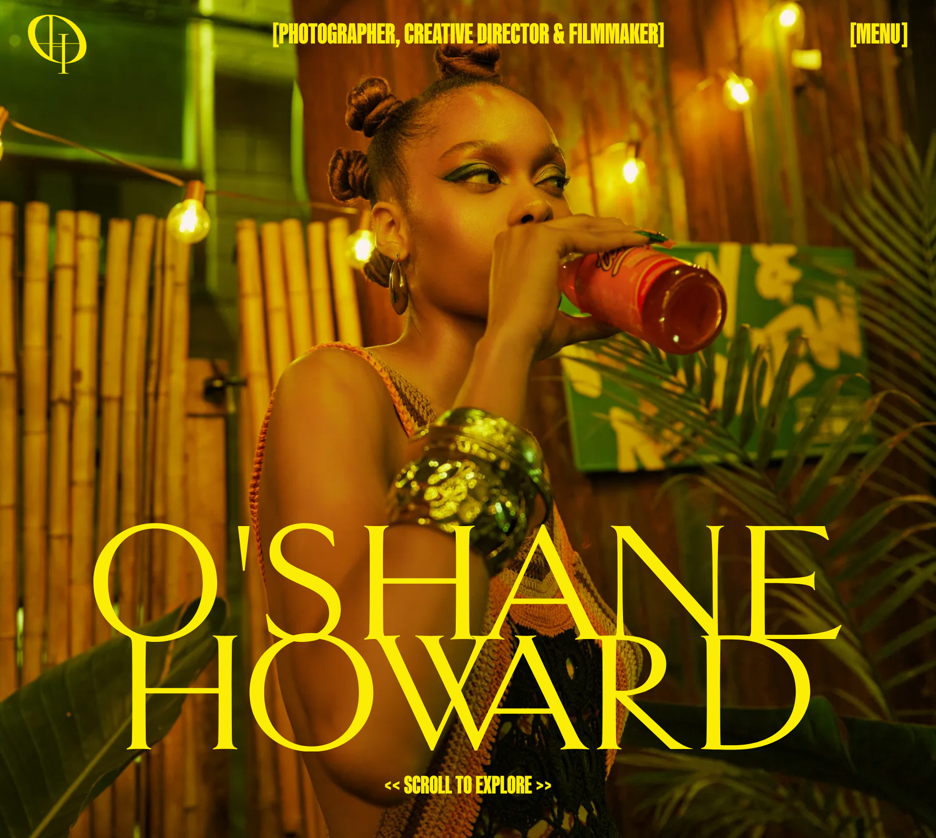 https://10web.io/blog/wp-content/uploads/sites/2/2025/03/28.-Oshane-Howard.png