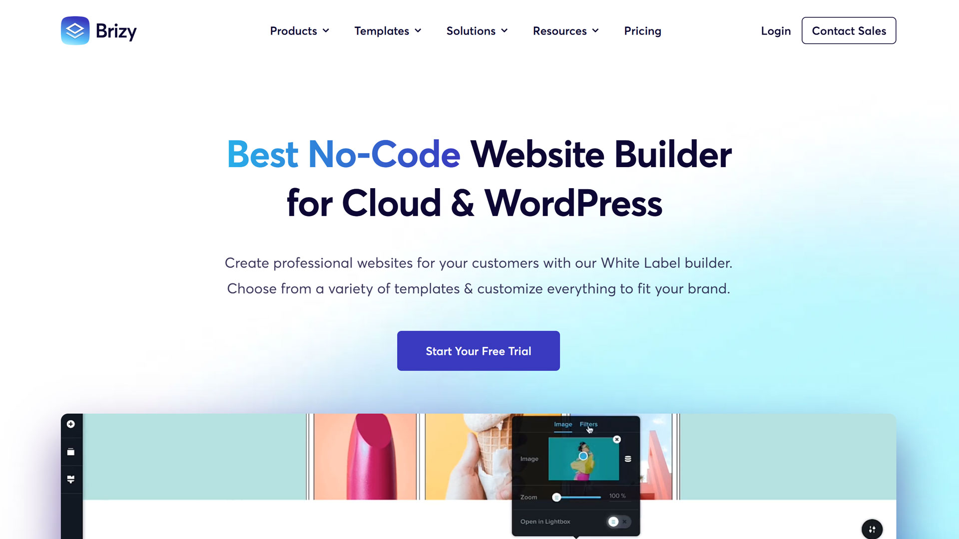 Brizy's website
