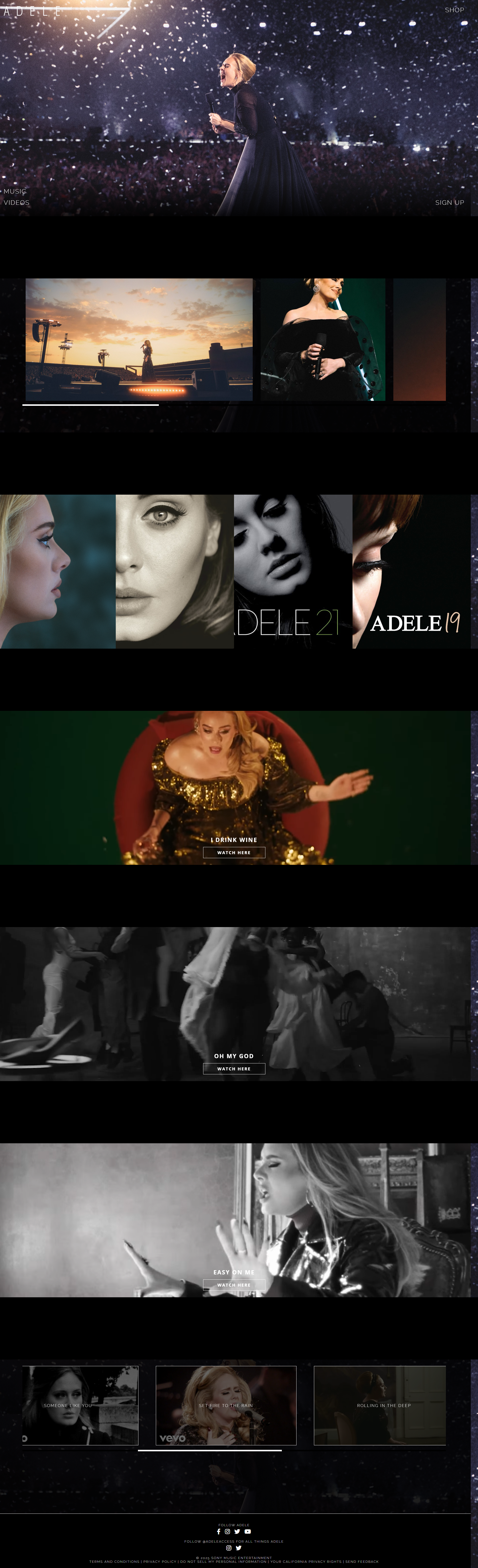 https://10web.io/blog/wp-content/uploads/sites/2/2025/03/screencapture-adele-2025-03-28-18_18_44.png
