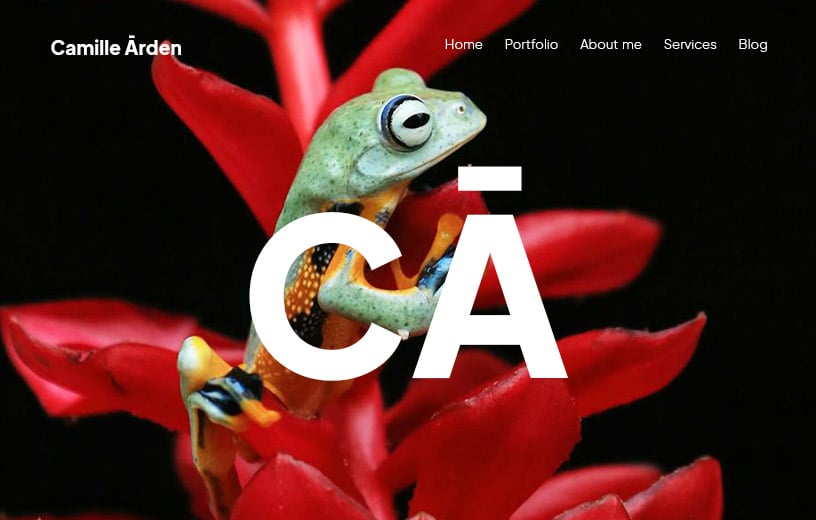 a picture of a photography studio website