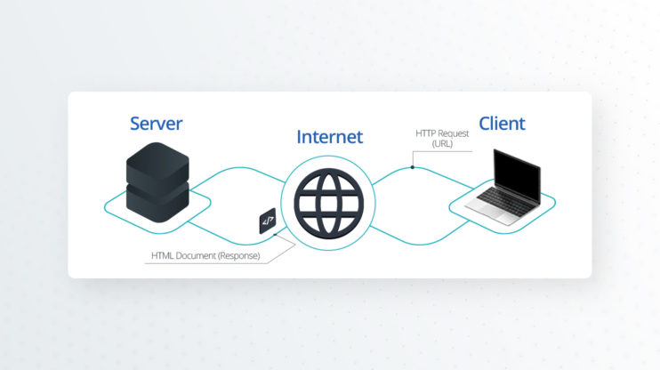 Which Web is Which?