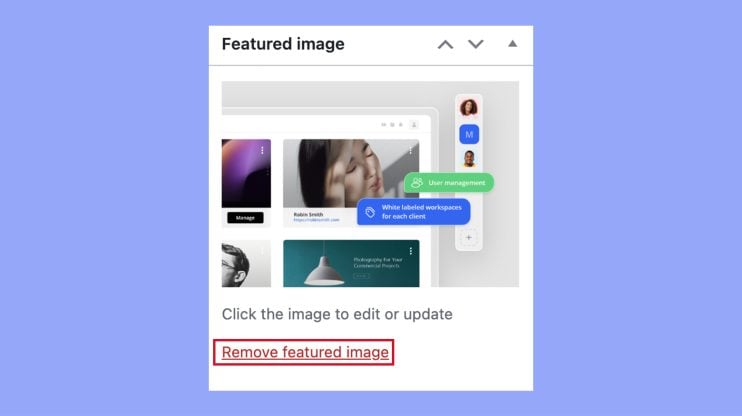 Eliminar imagen temida en WordPress
