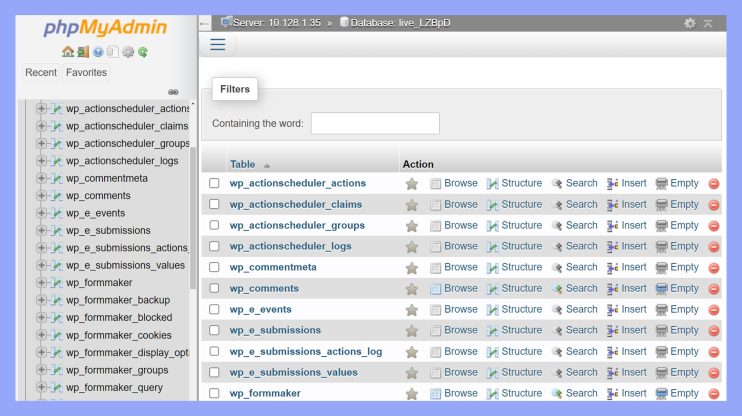 What is Database in WordPress - 10Web