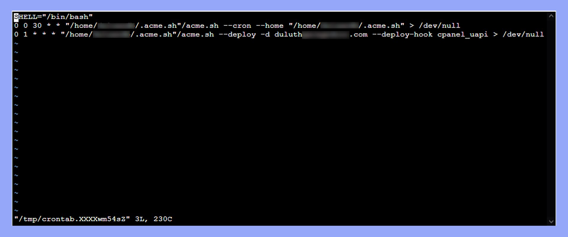 Los Cron jobs se muestran en el terminal.