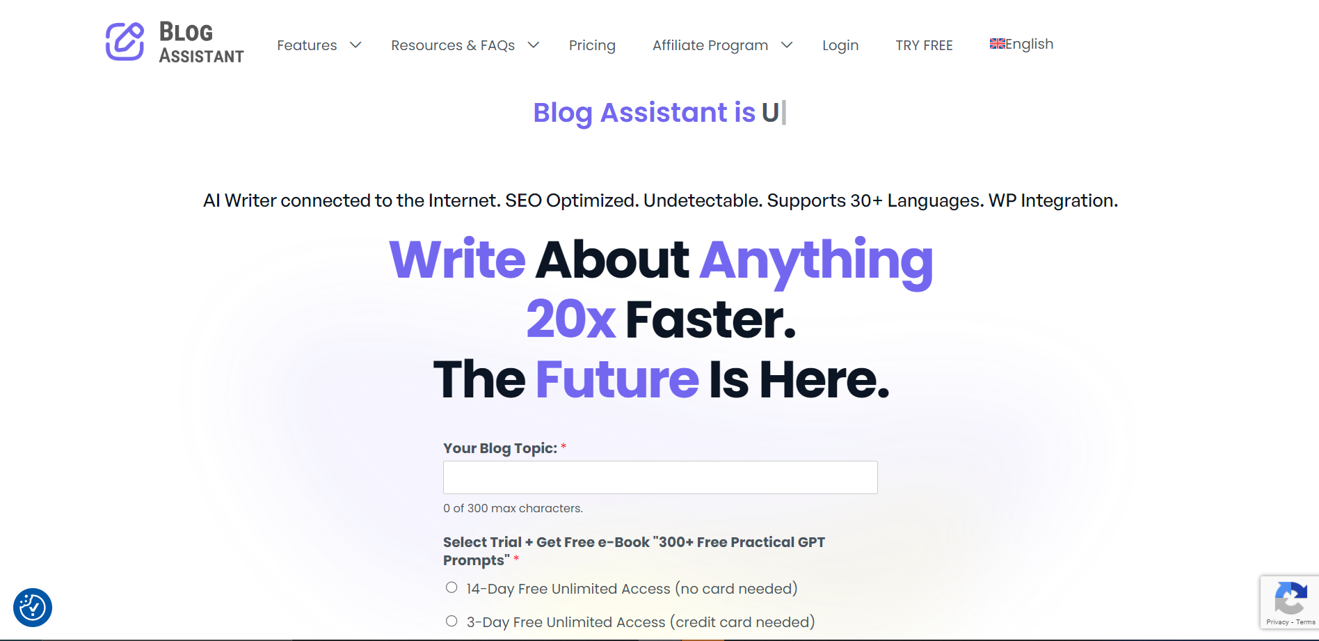 Screenshot for Blog Assistant