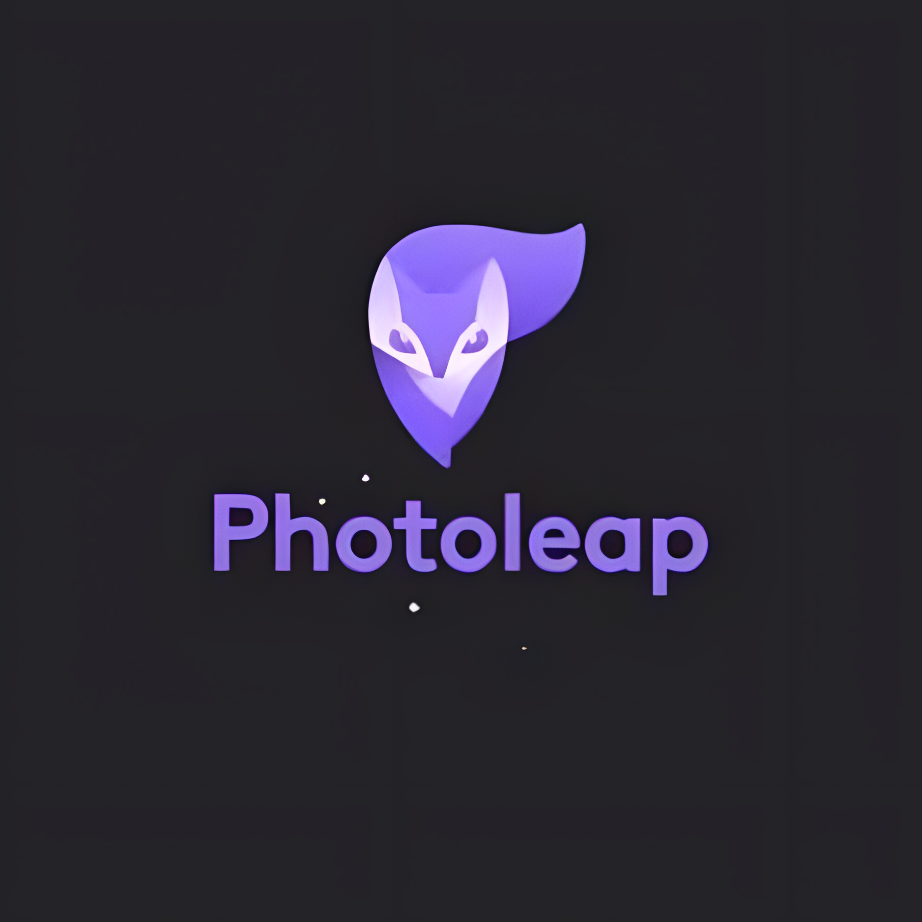 photoleap Logo