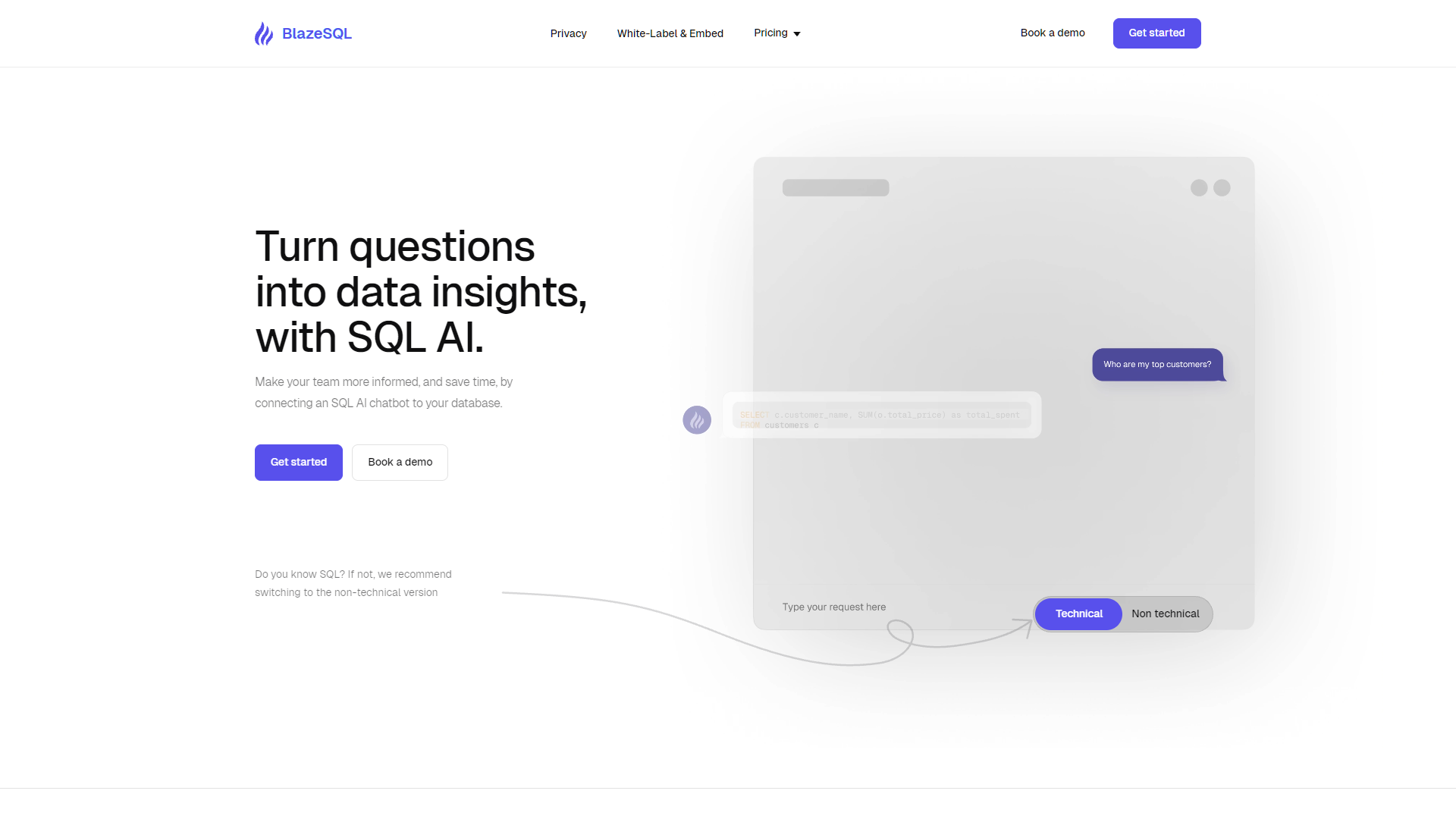 Screenshot for BlazeSQL