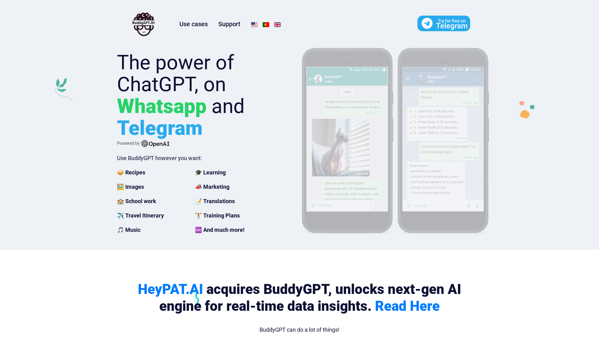 Screenshot for BuddyGPT