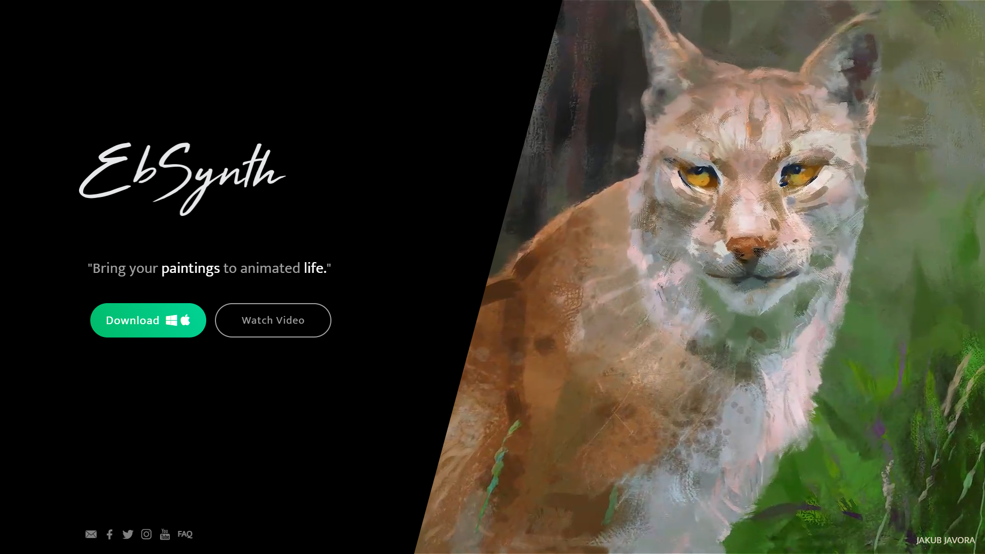 Screenshot for EbSynth
