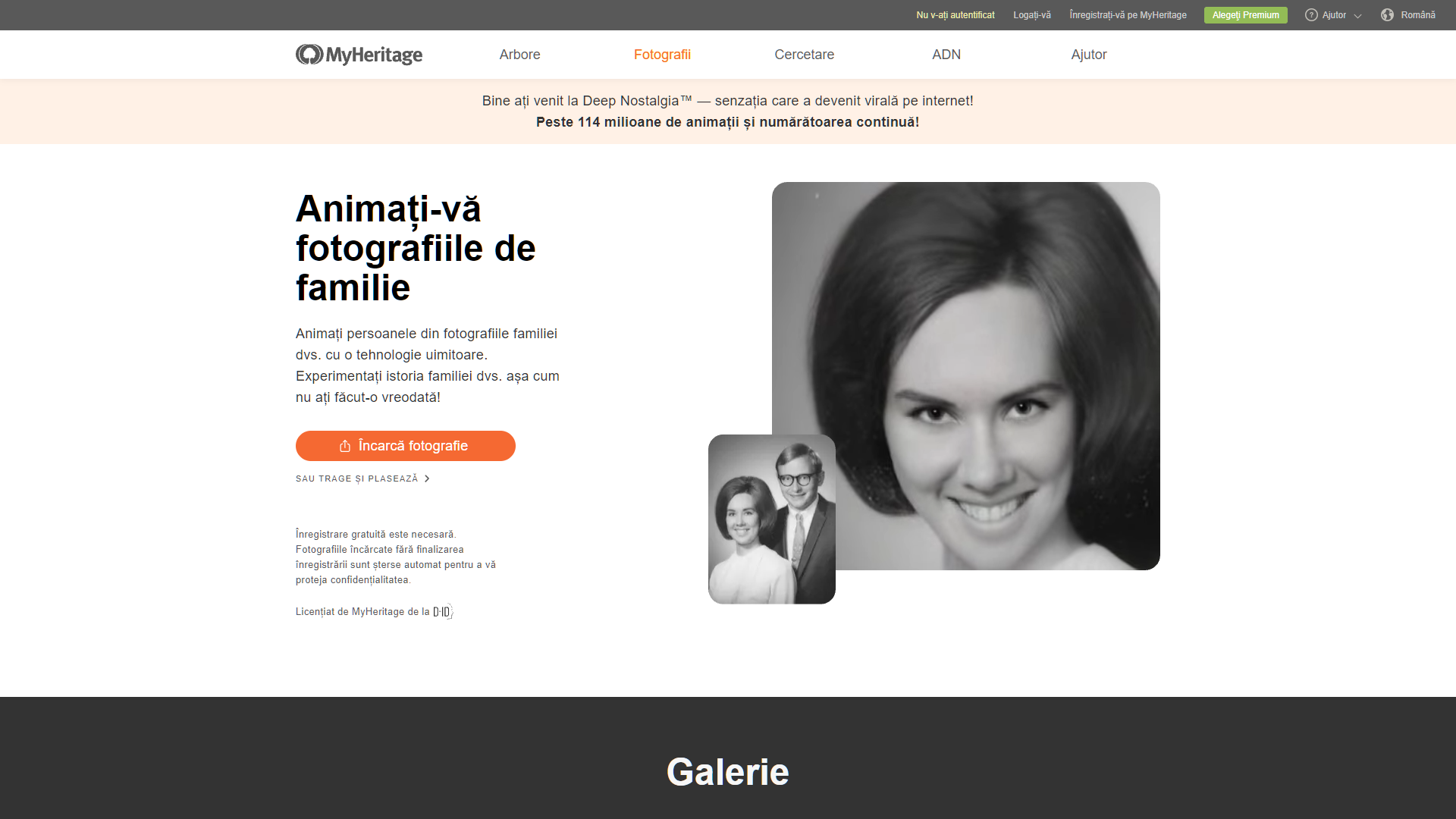 Screenshot for MyHeritage
