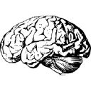 namy-ai Logo