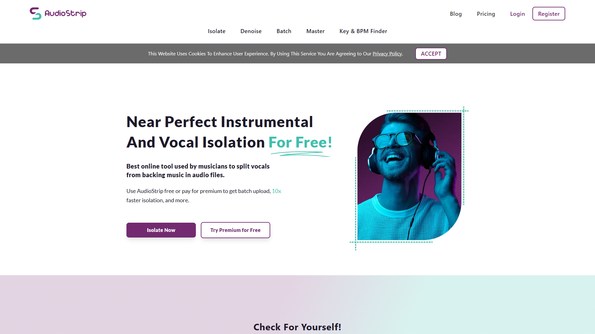 Screenshot for AudioStrip