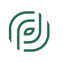 Dark Pools AI Logo