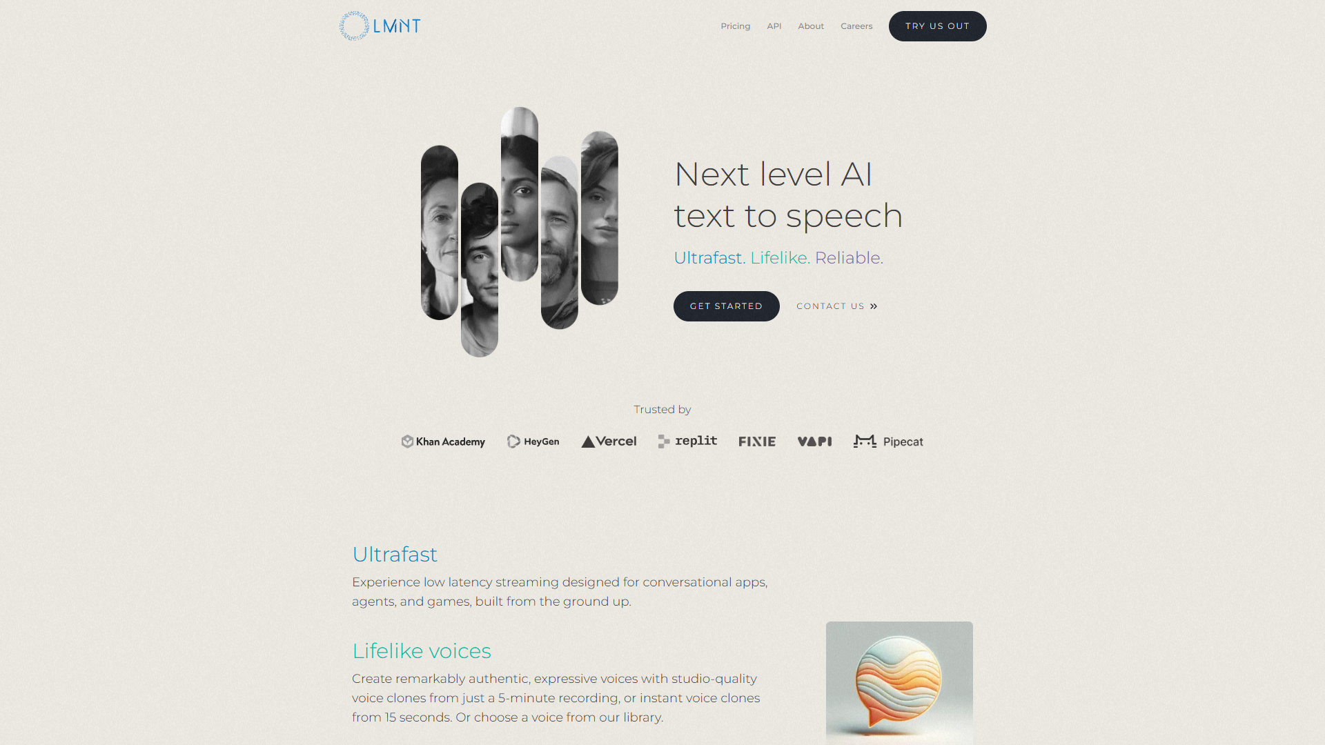 Screenshot for LMNT