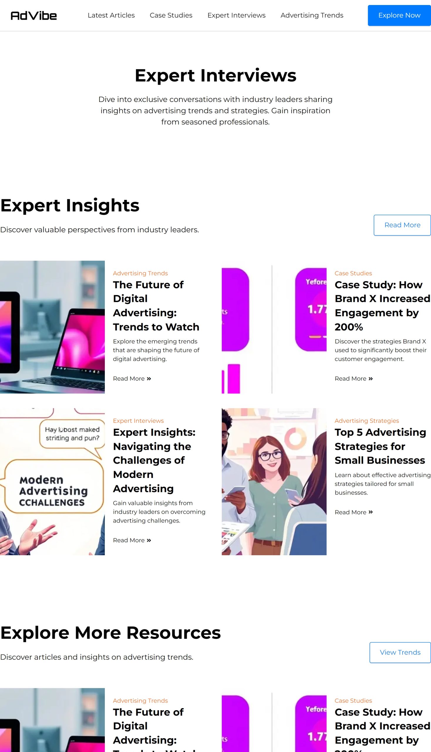 Expert Interviews