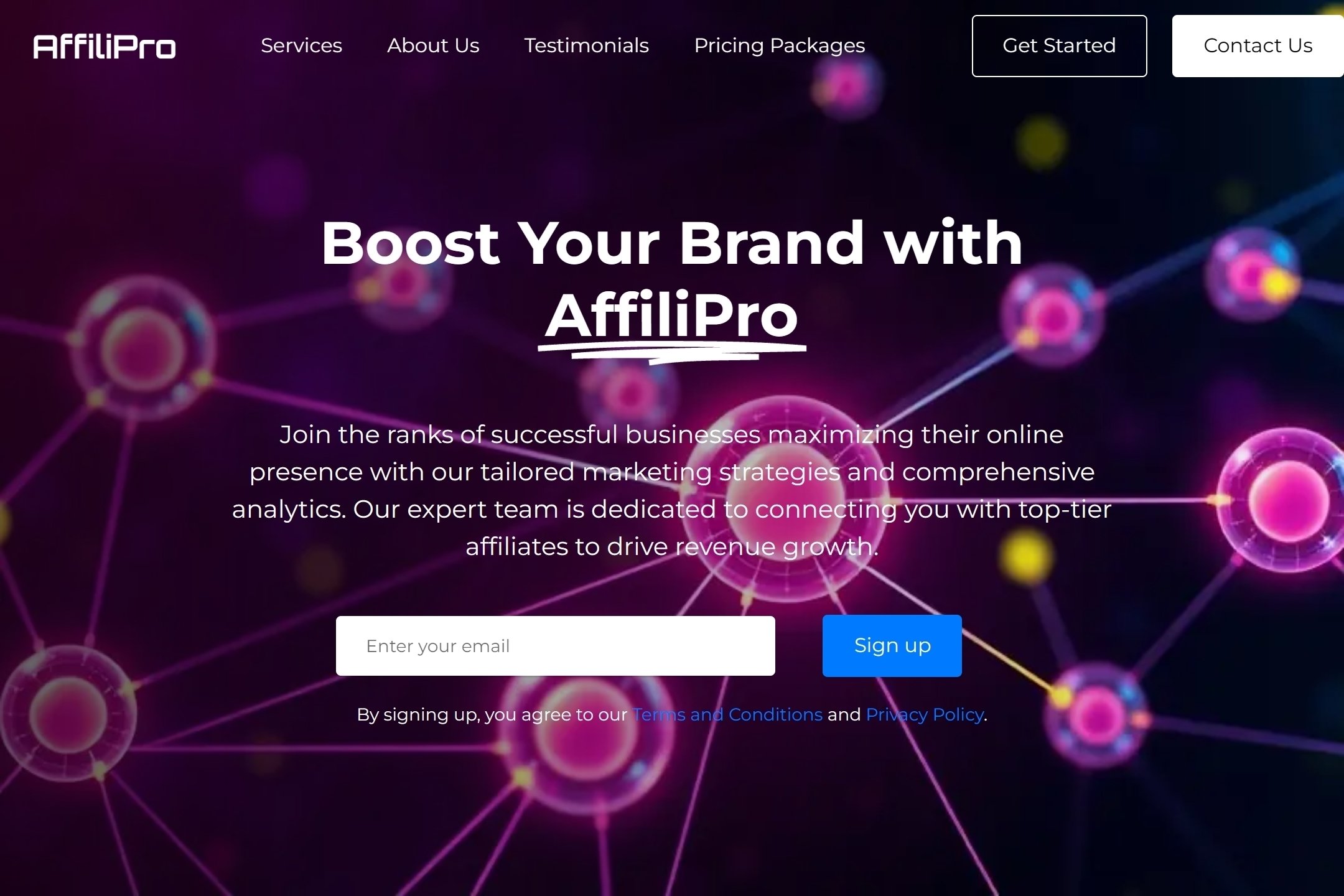 Affiliate marketing portfolio website template