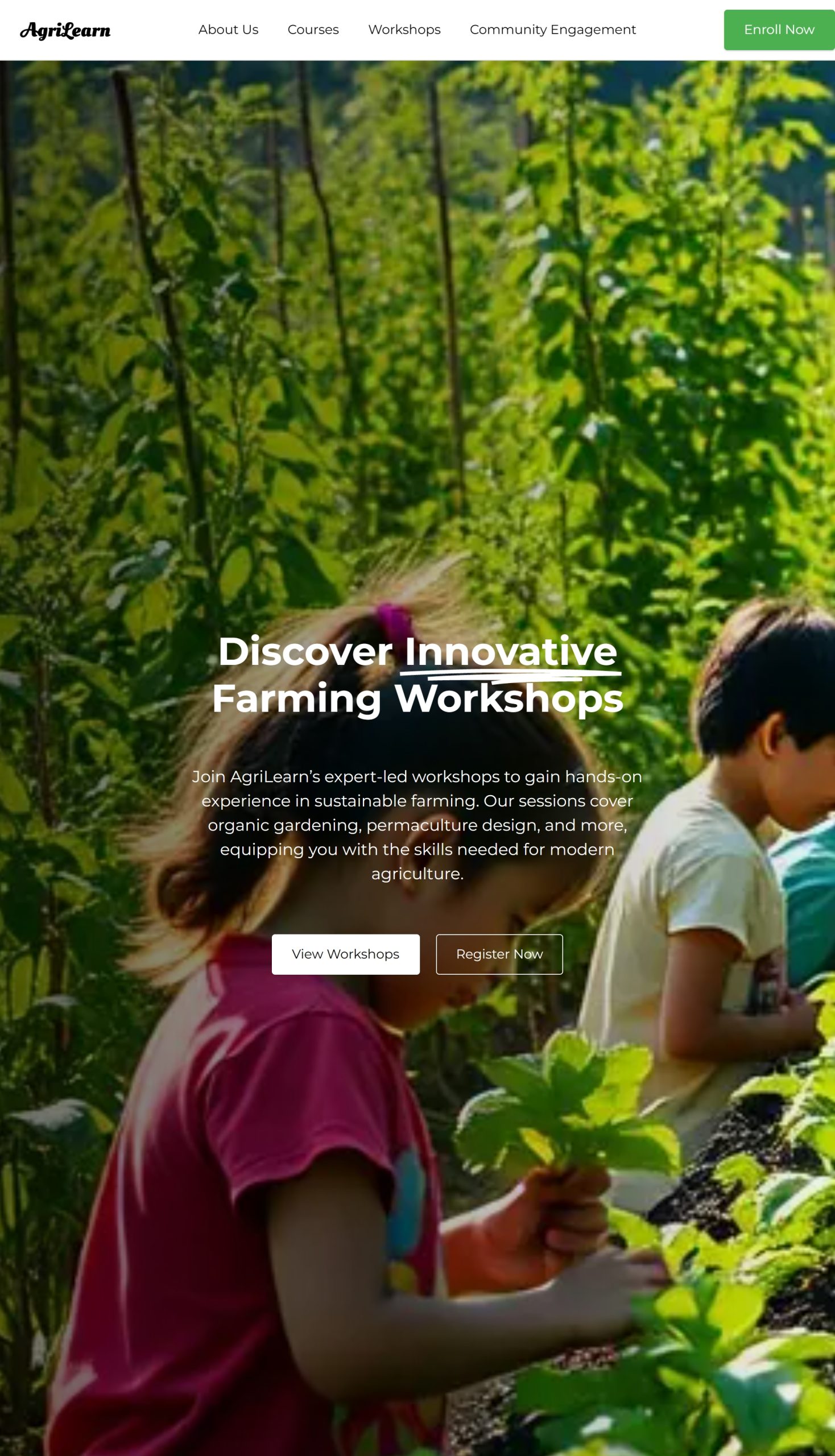 Workshops