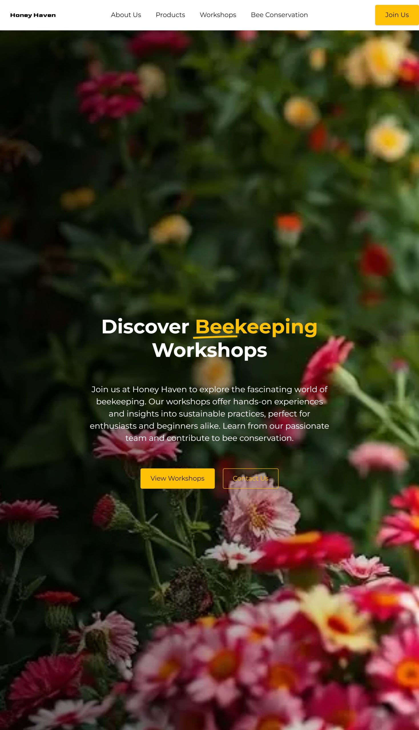 Workshops
