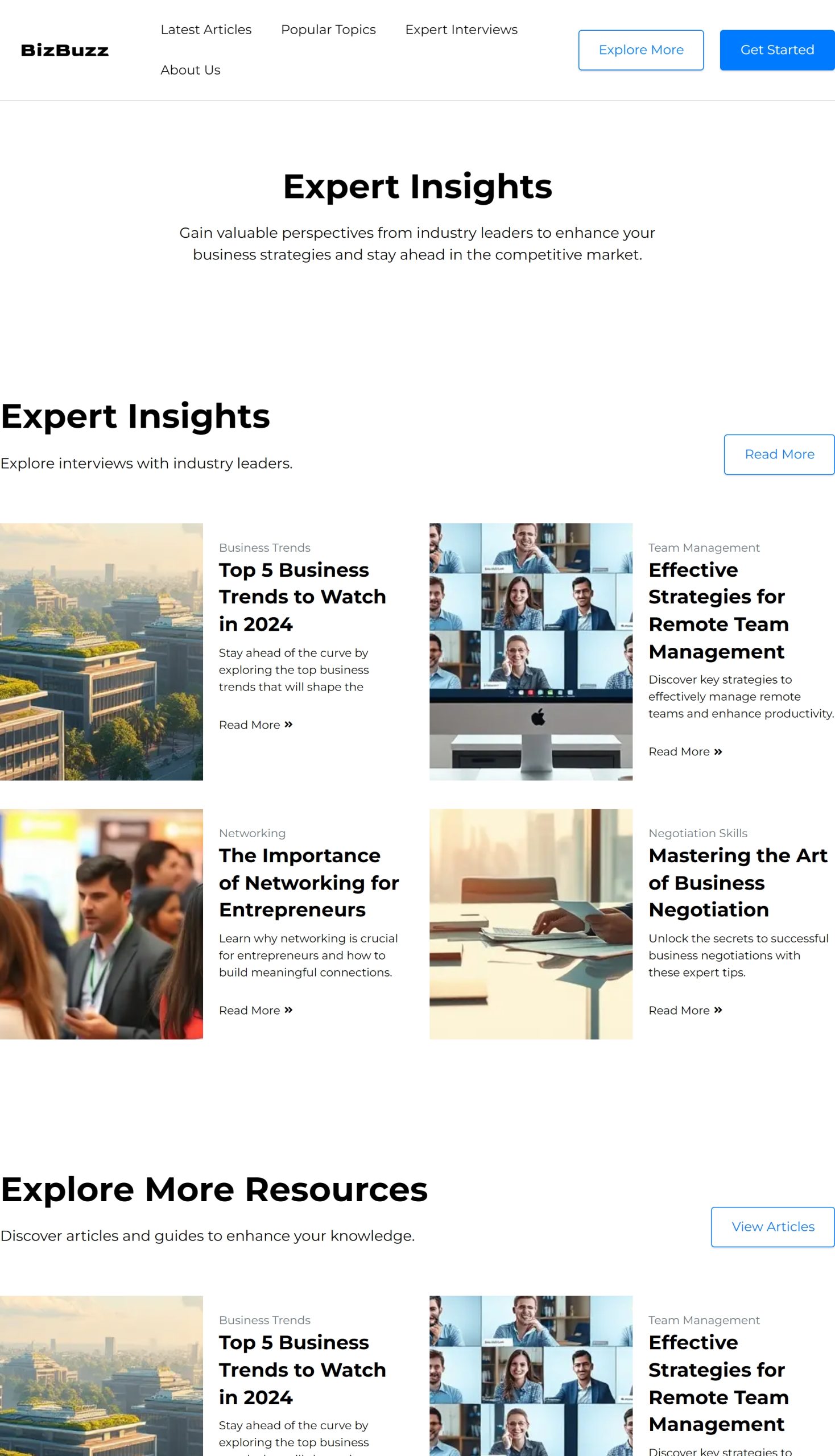 Expert Interviews