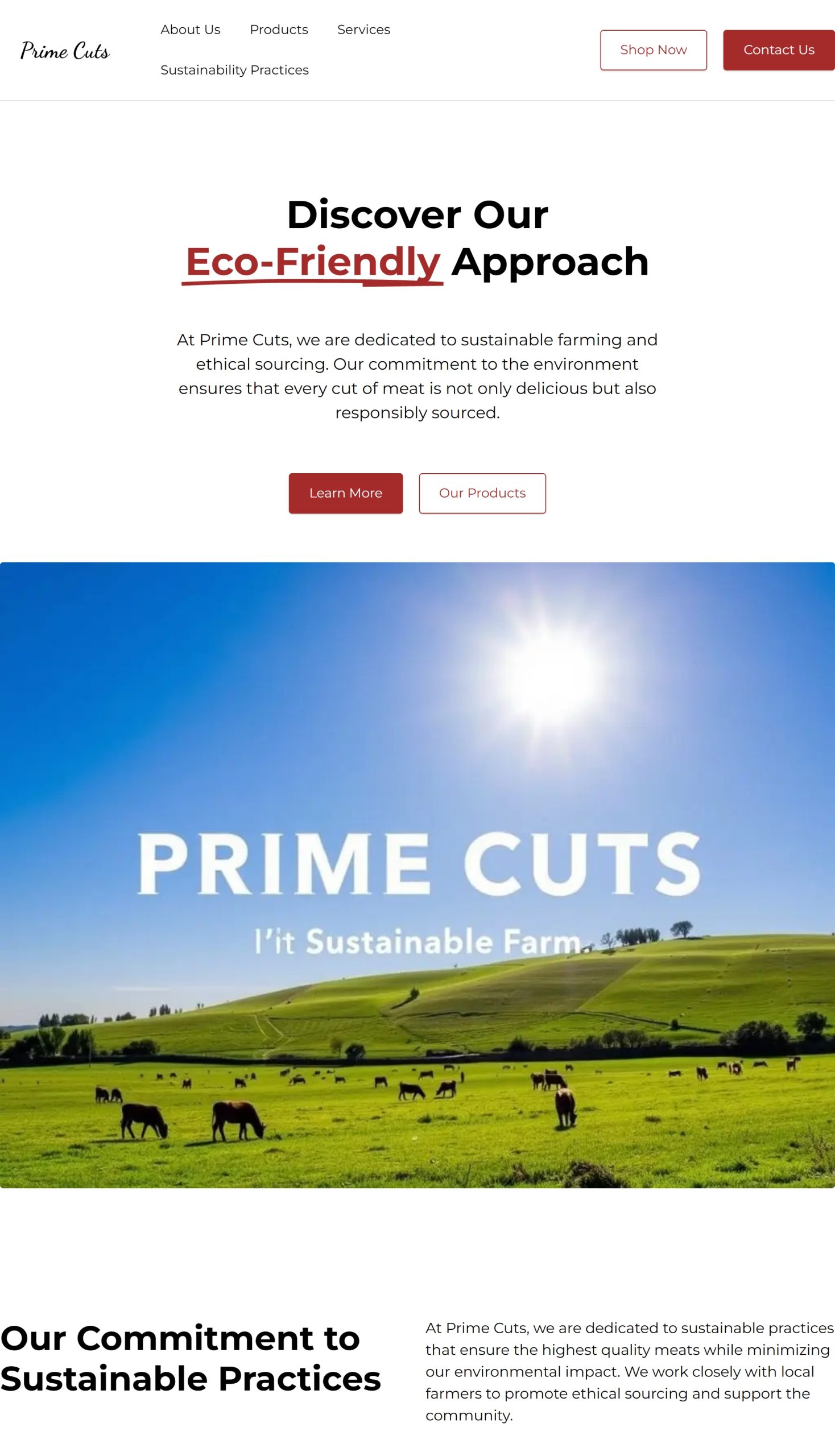 Sustainability Practices
