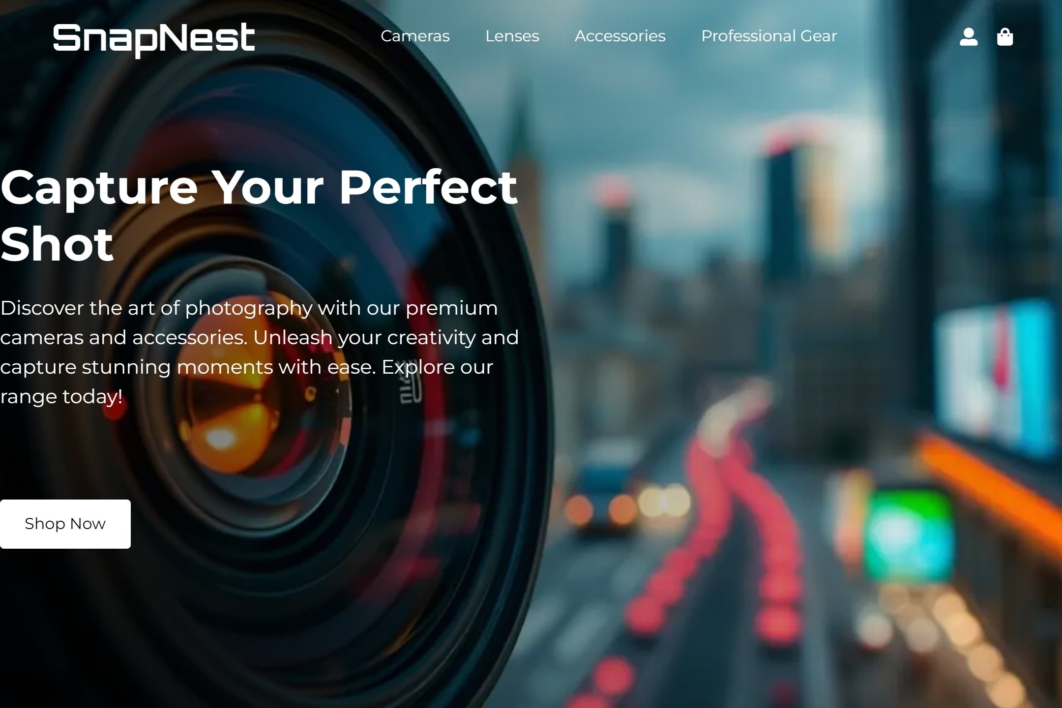 Camera store website template