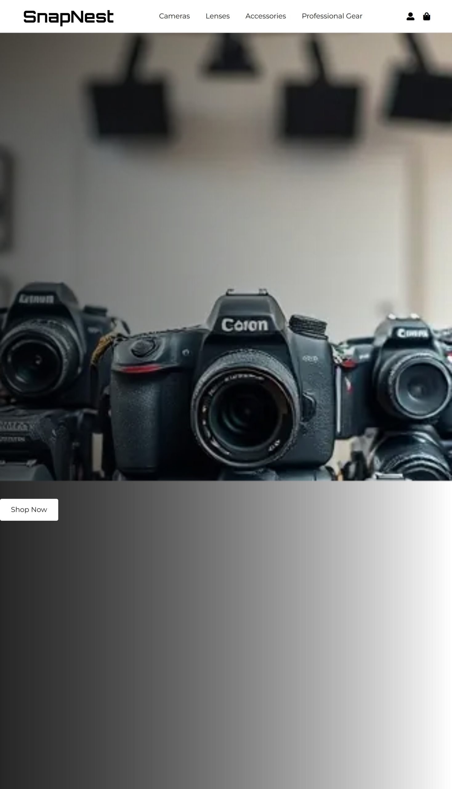 Professional Gear