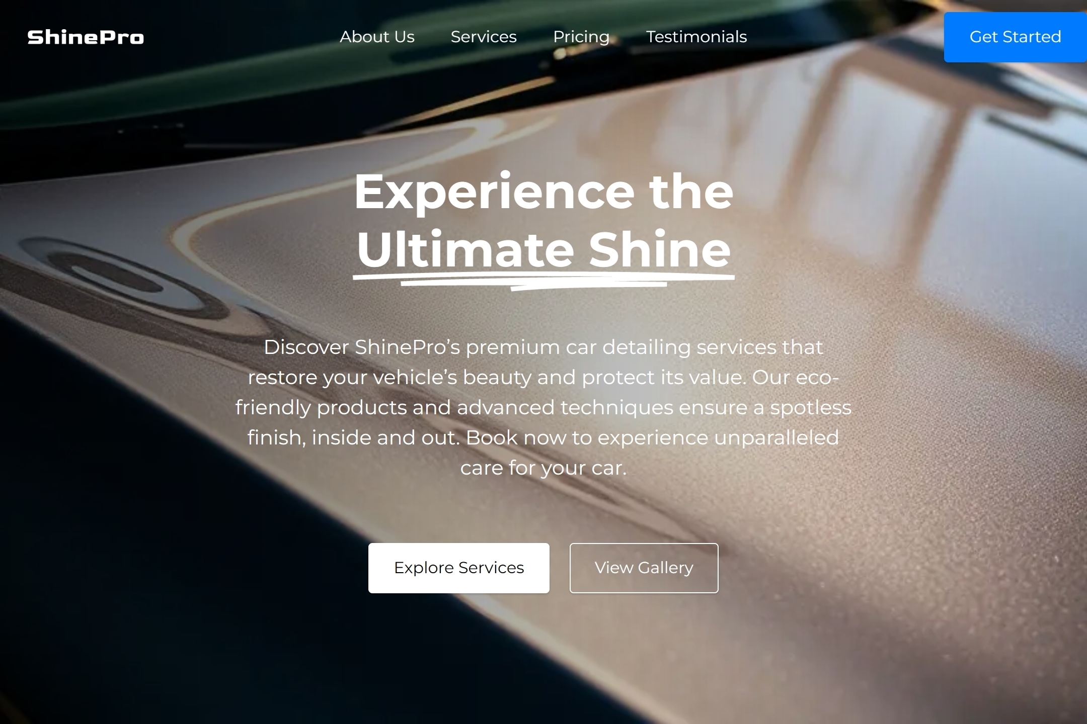 Car detailing business website template