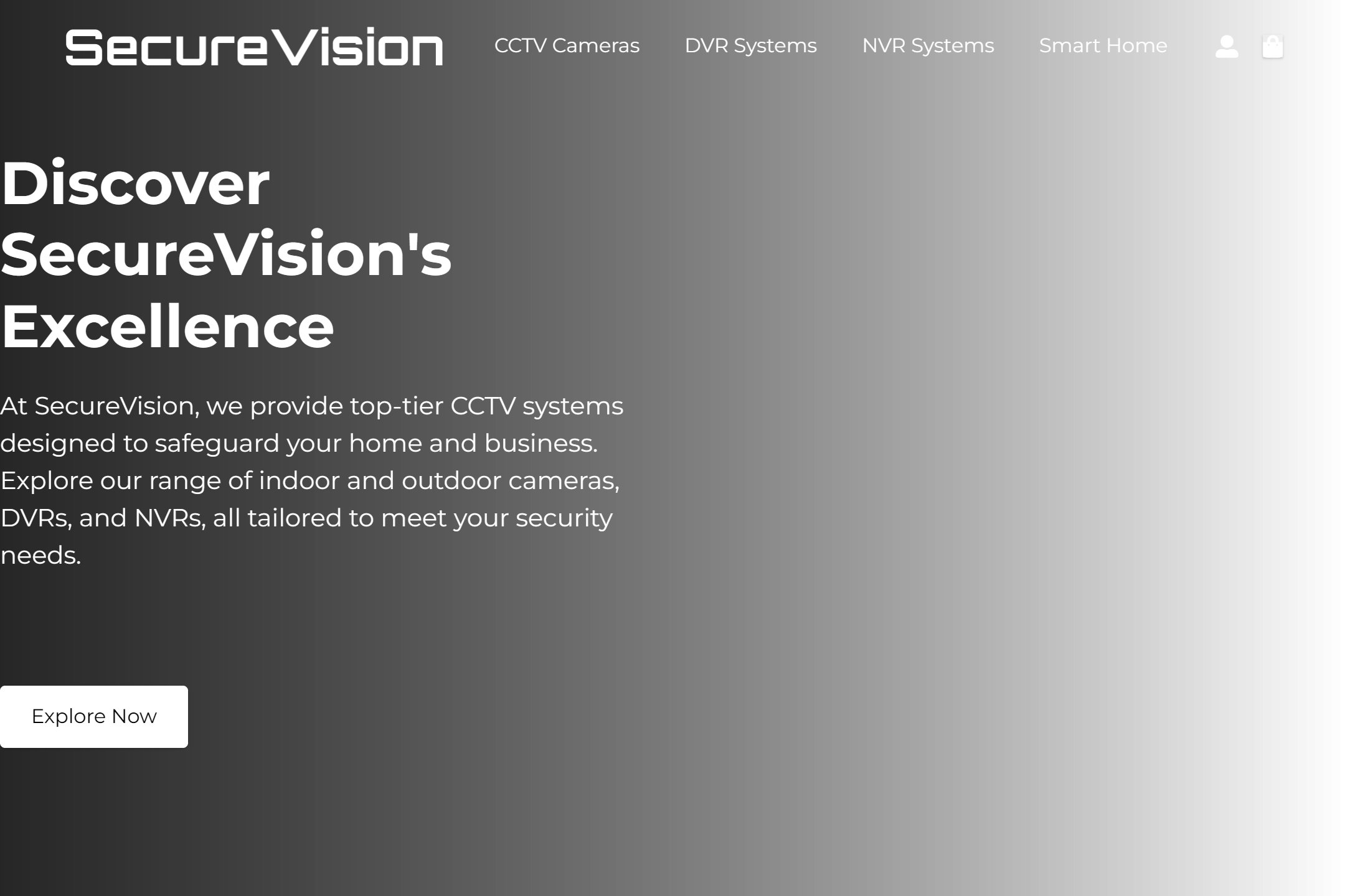CCTV supplier website template