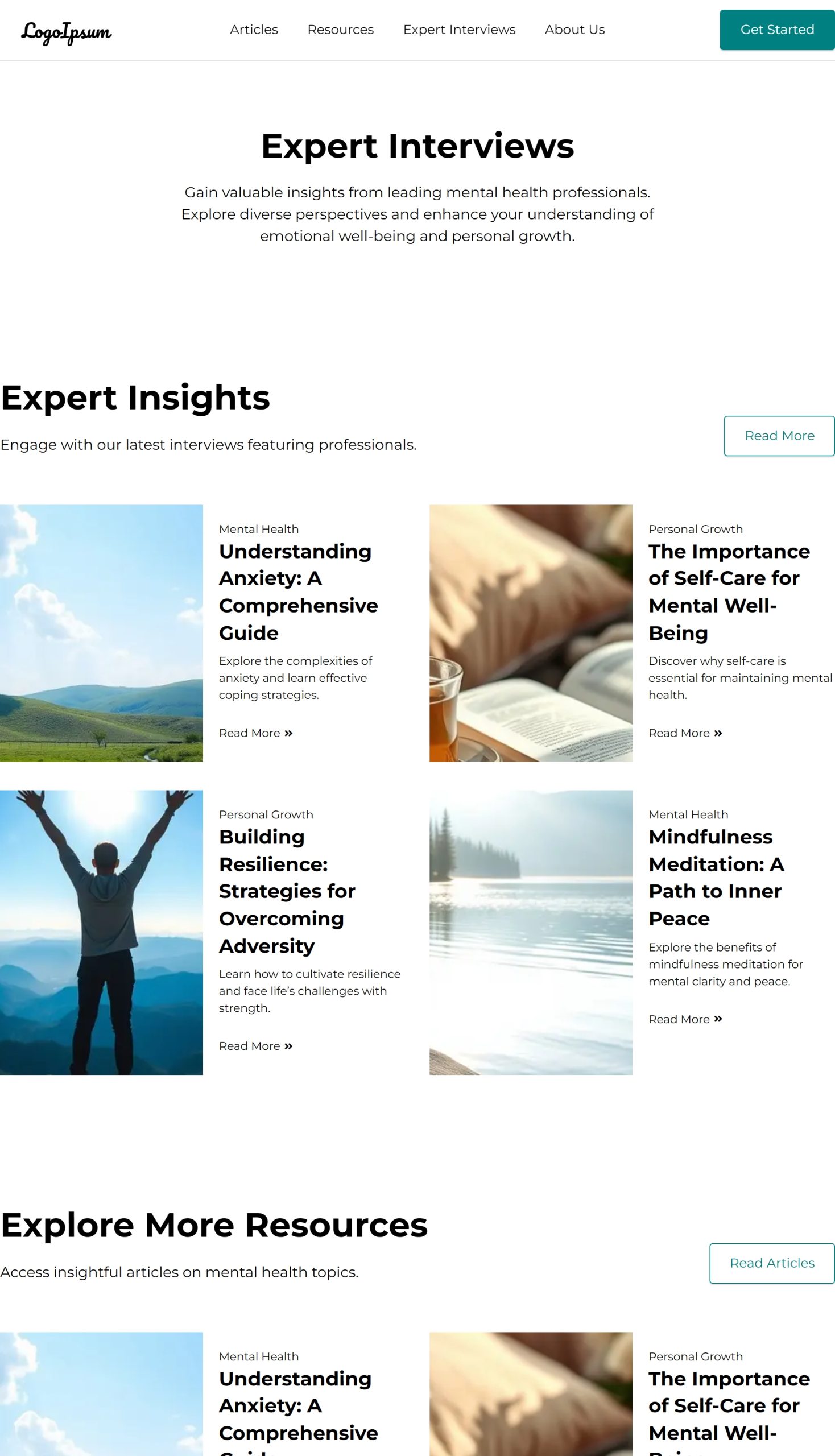 Expert Interviews