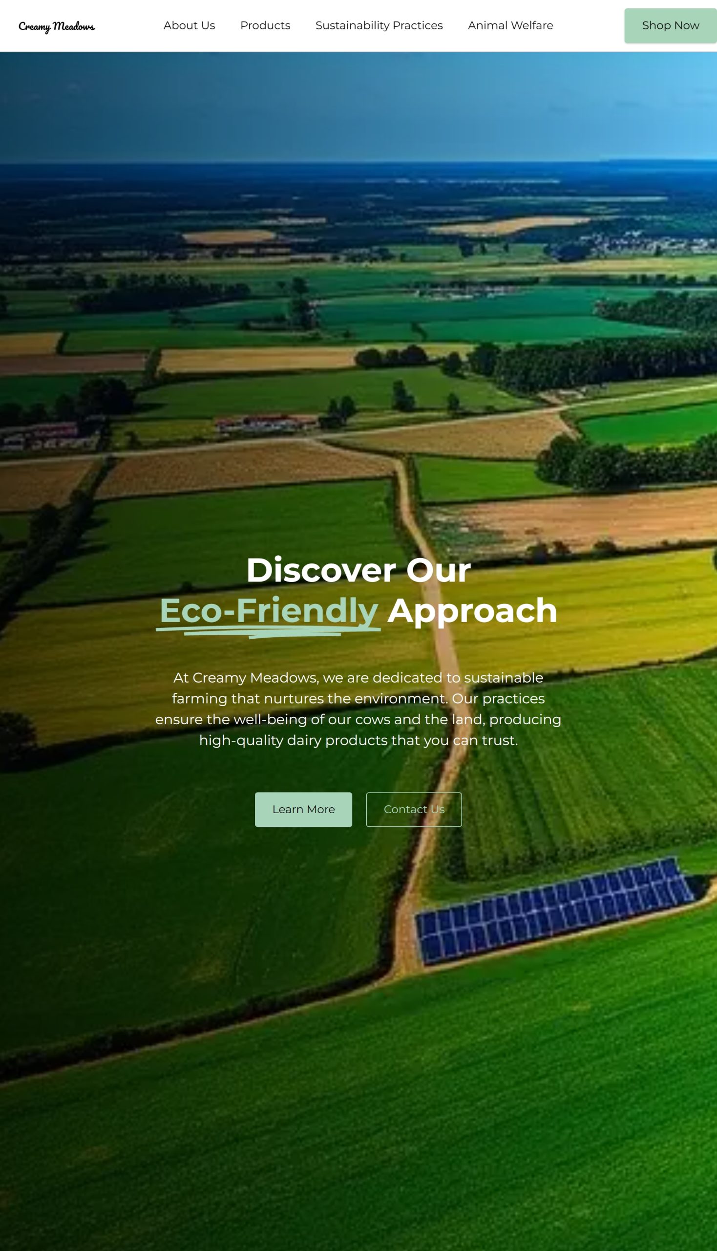 Sustainability Practices