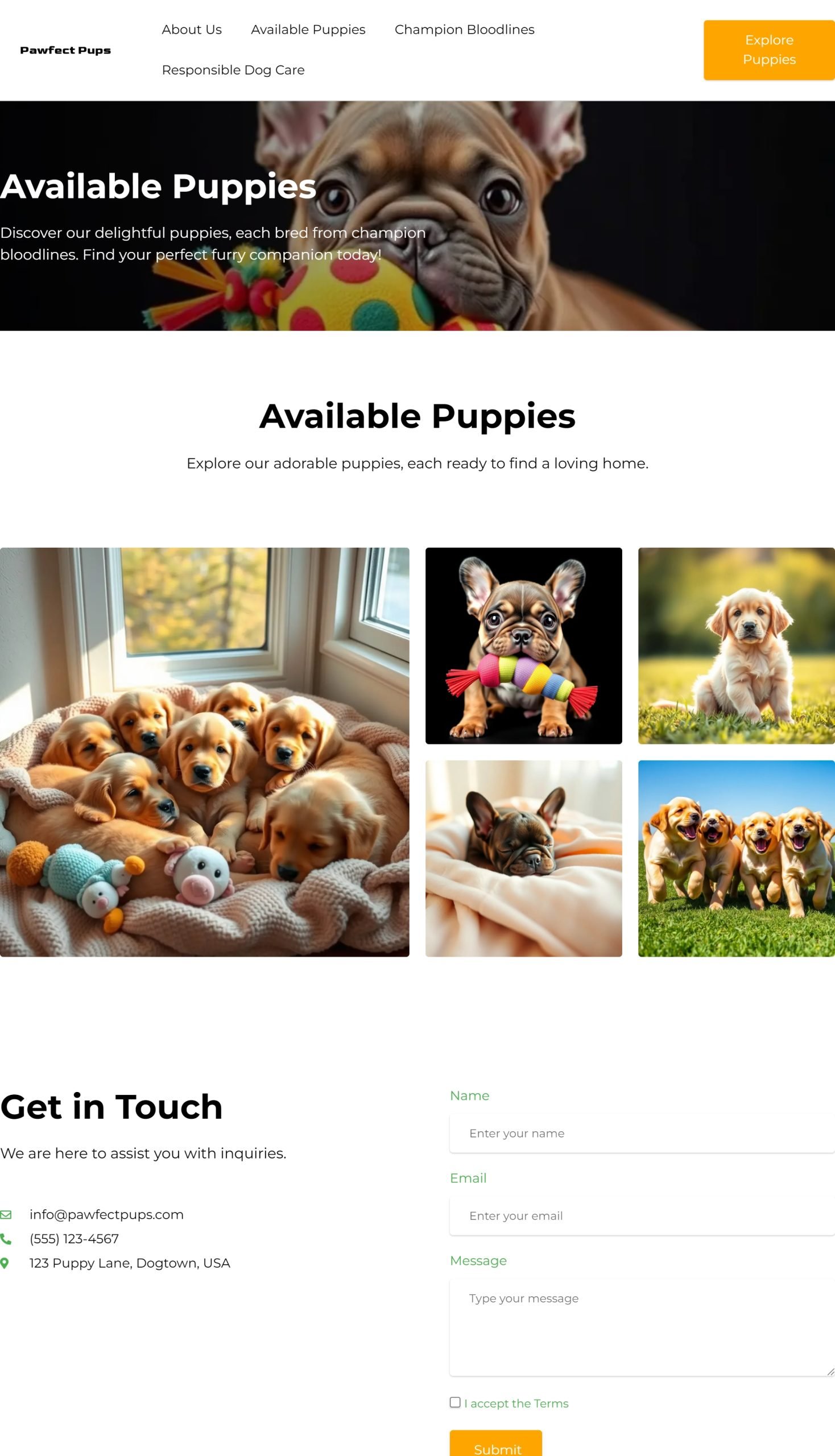 Available Puppies