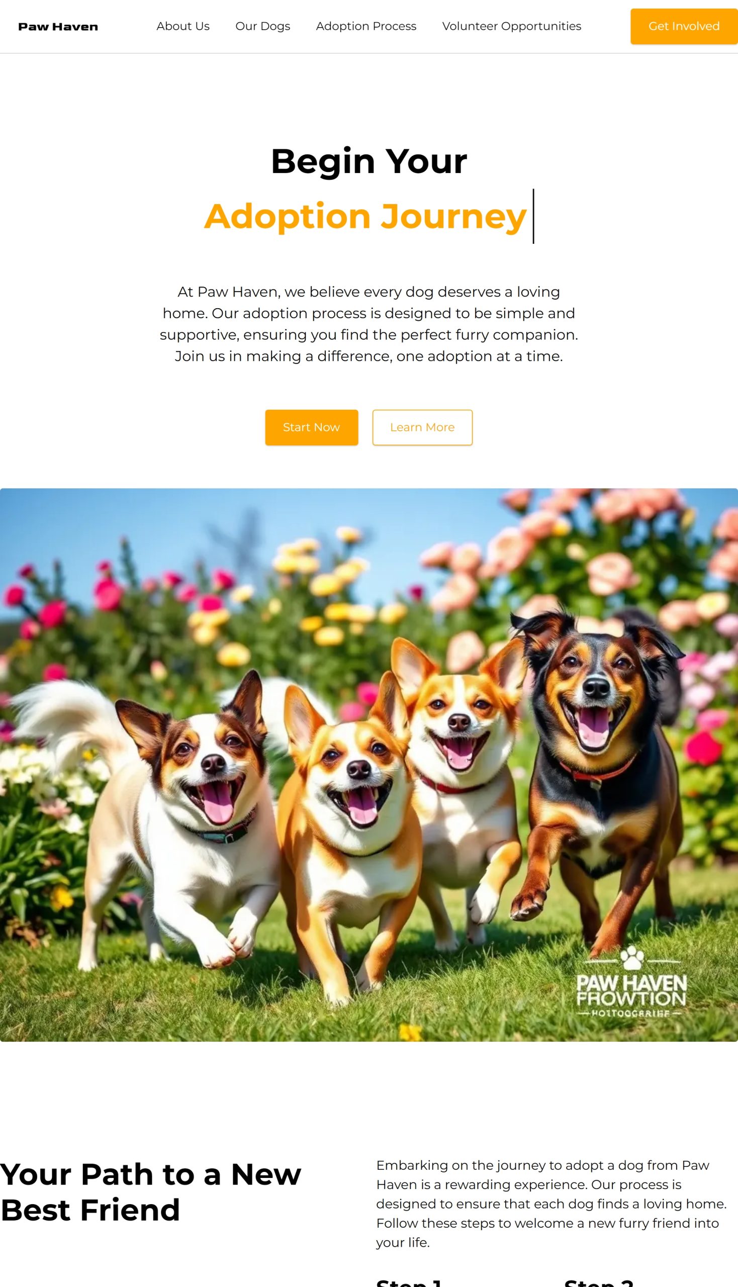 Adoption Process
