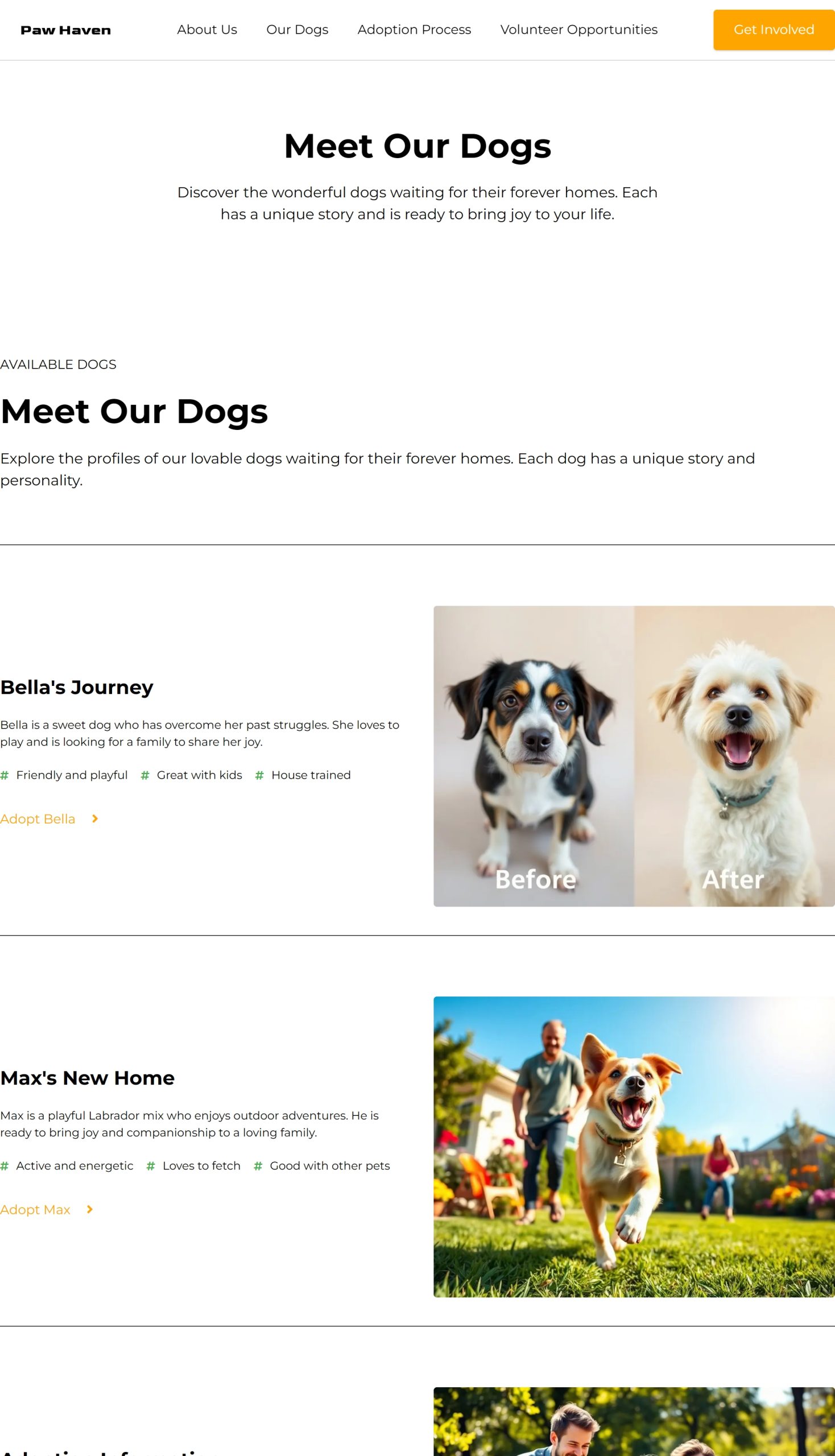 Our Dogs