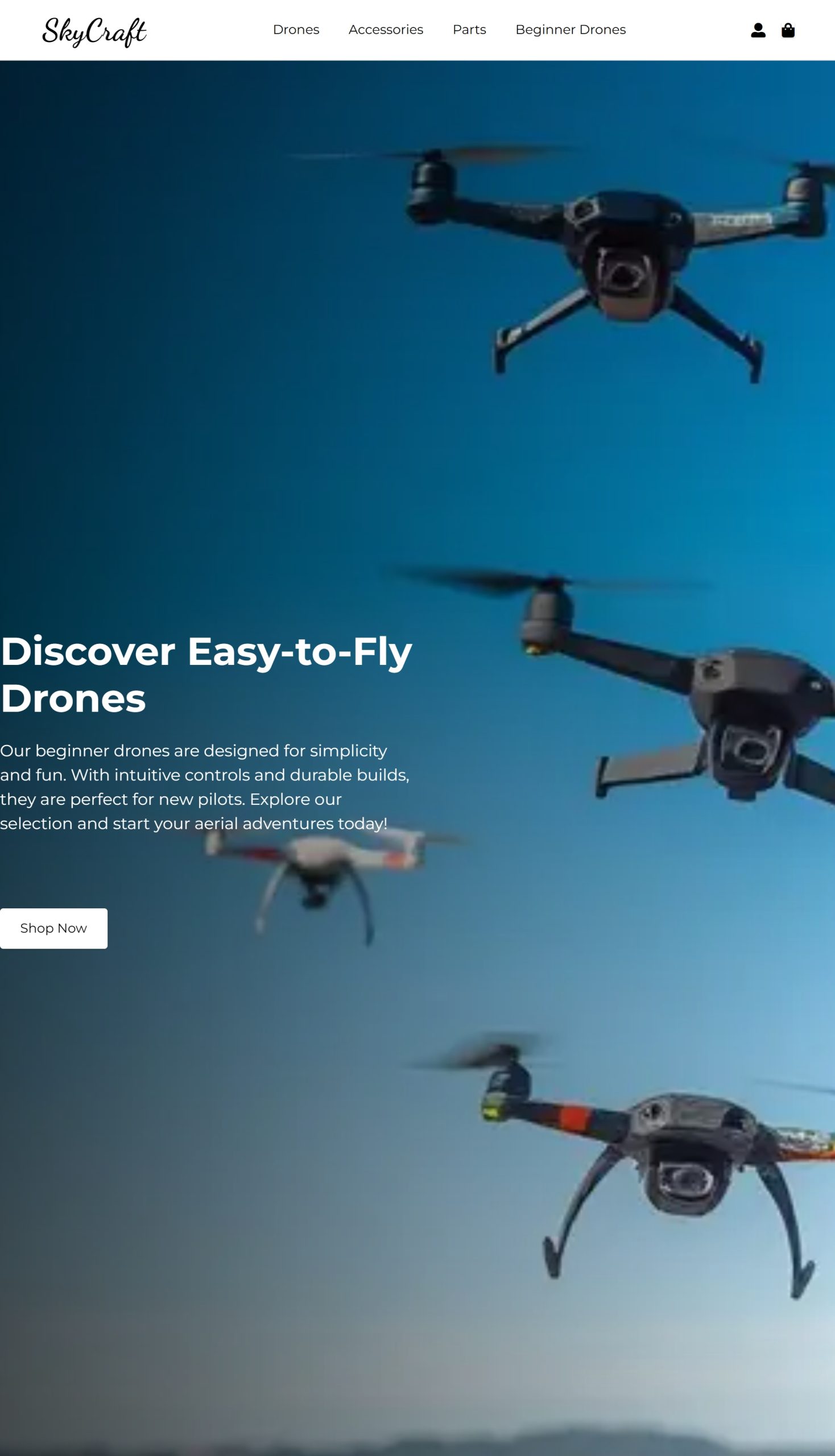 Beginner Drones
