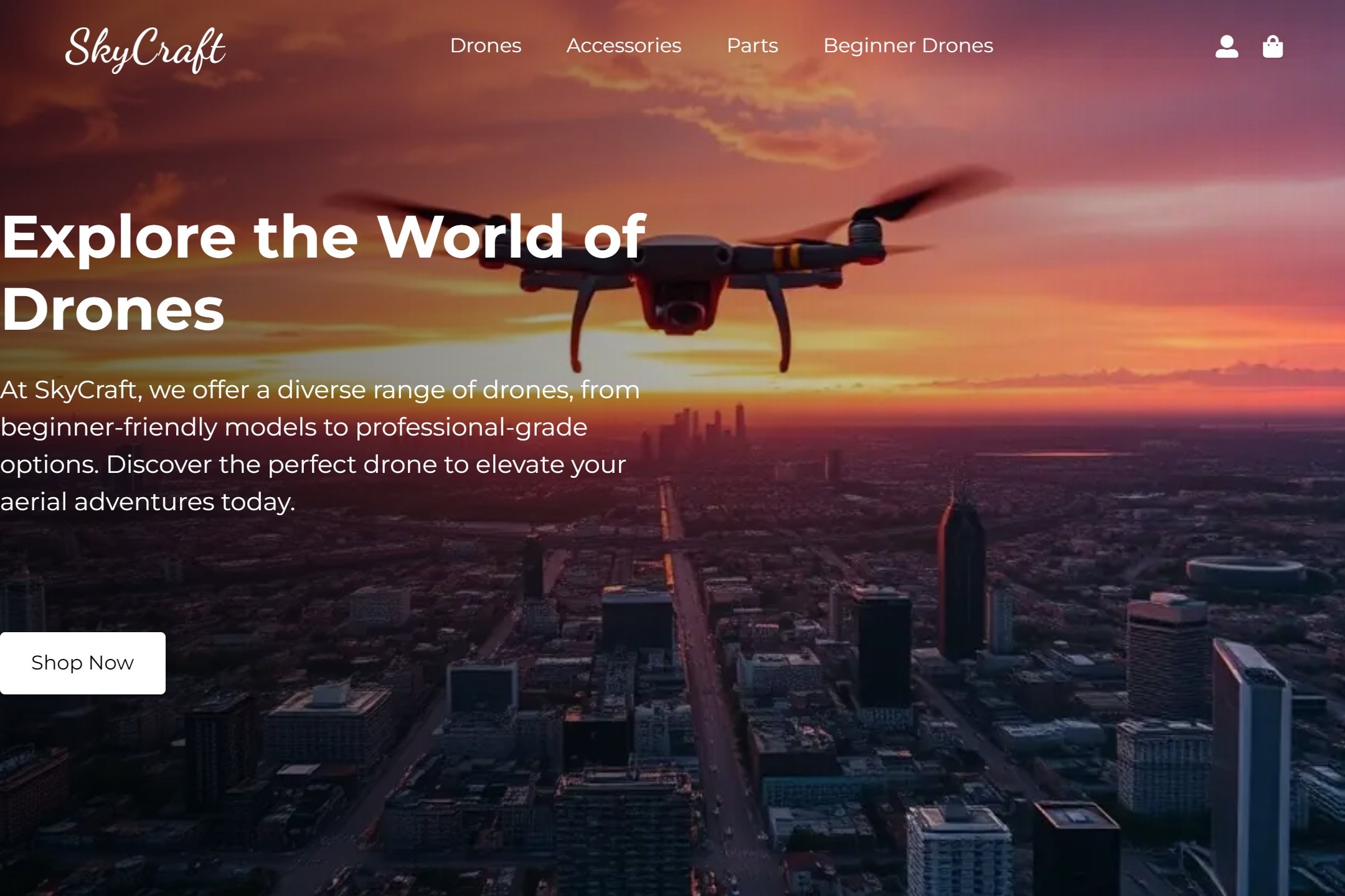 Drone shop website template