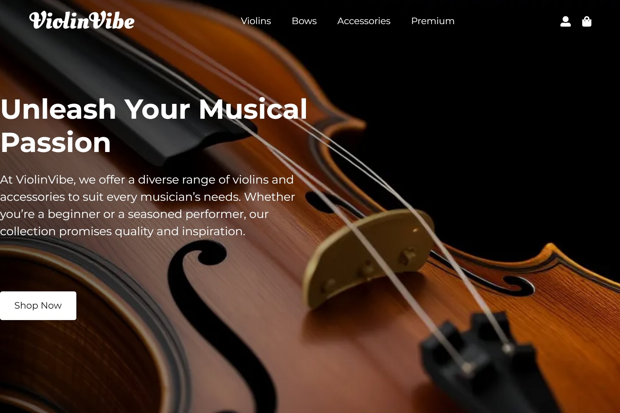 Ecom violin store website template