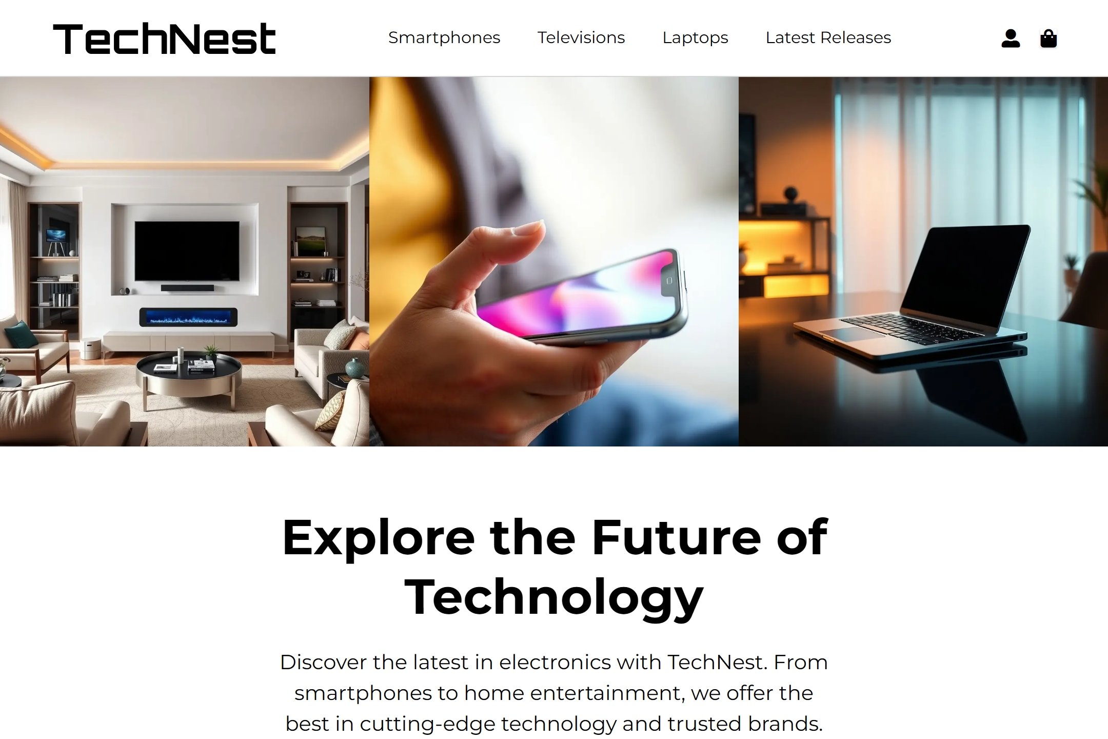 Electronics retailer website template