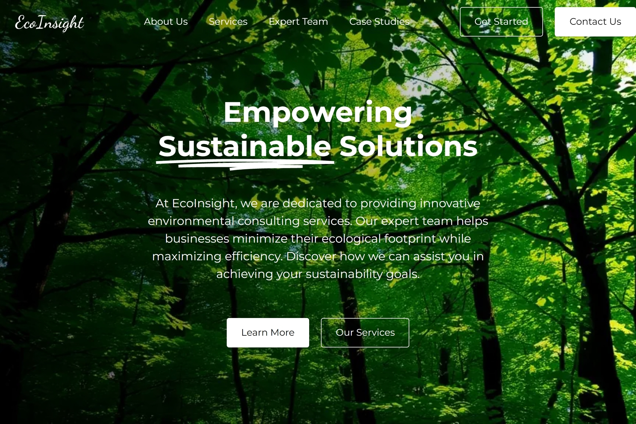 Environmental consulting firm website template