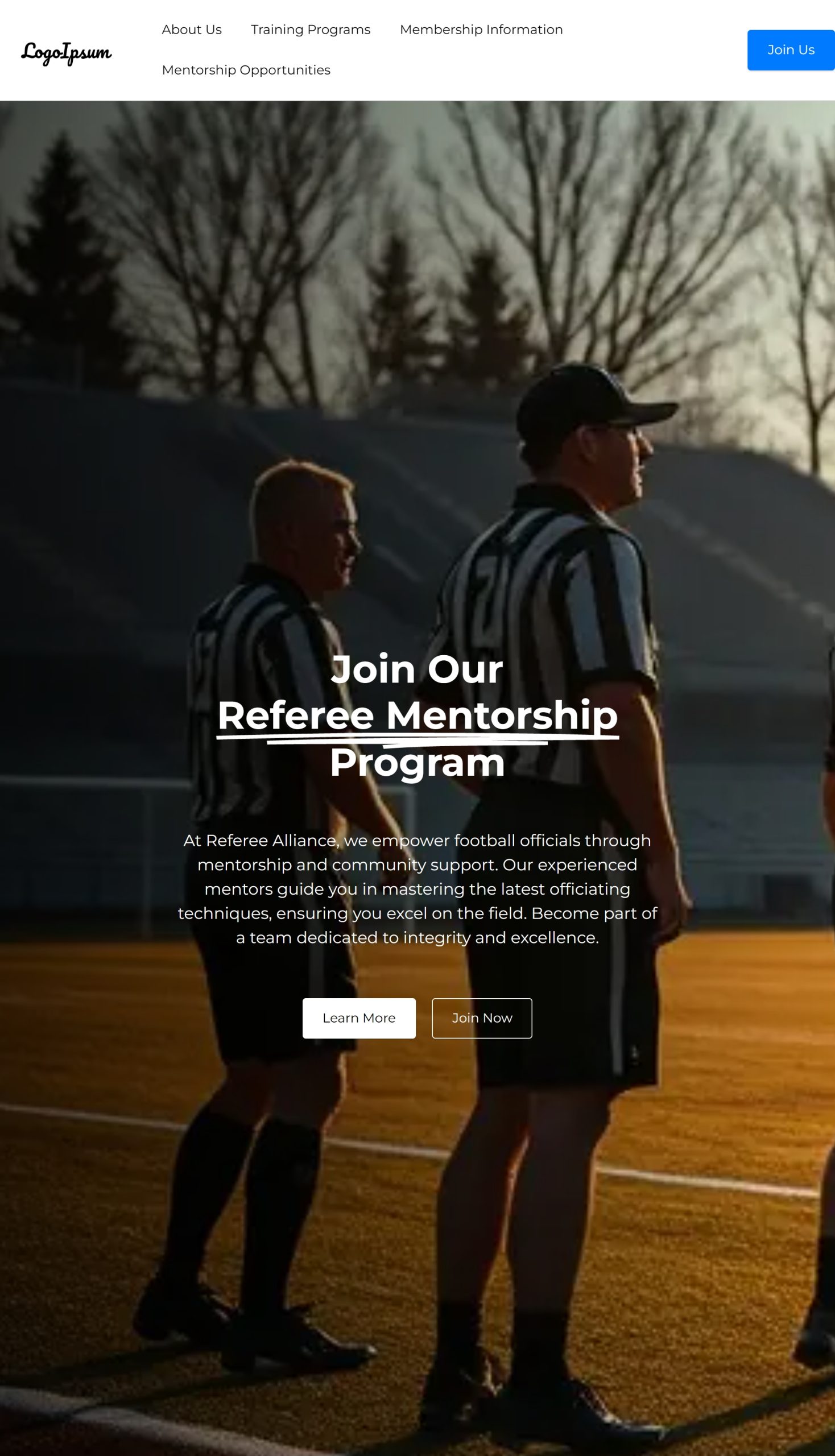 Mentorship Opportunities