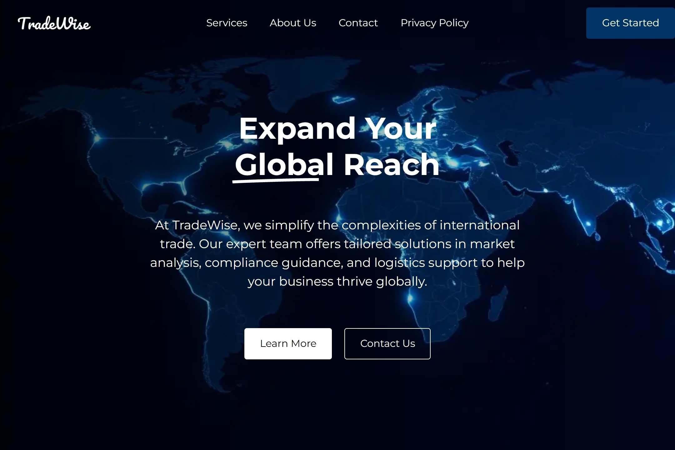 Foreign trade expert website template